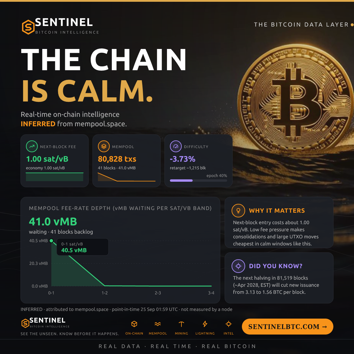 Bitcoin network signals