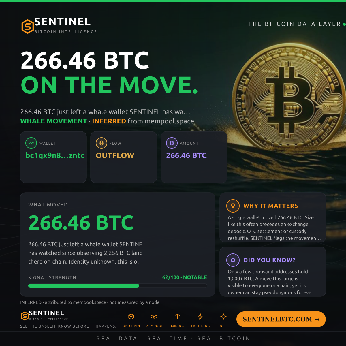 WHALE WALLET: 266.46 BTC OUT