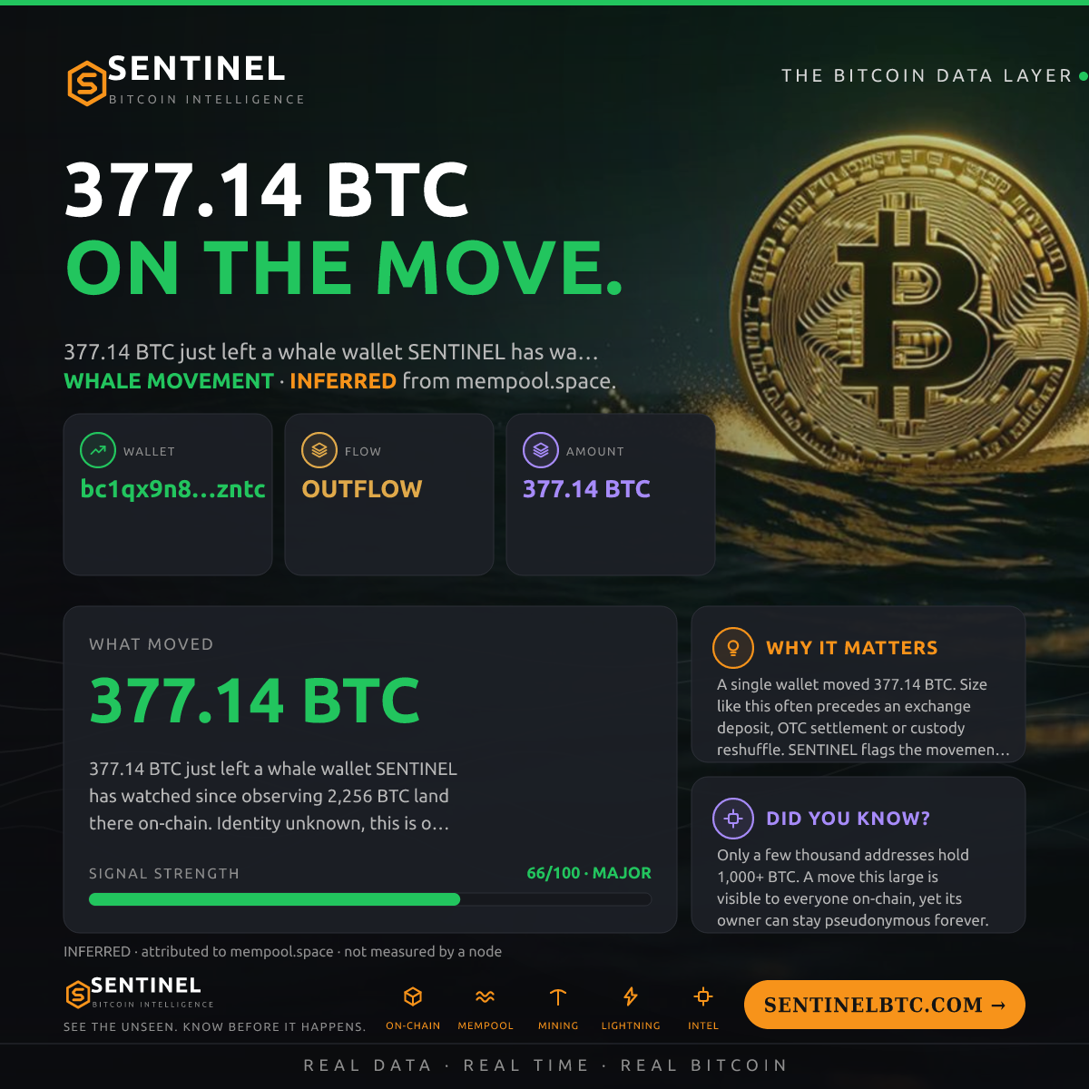 WHALE WALLET: 377.14 BTC OUT