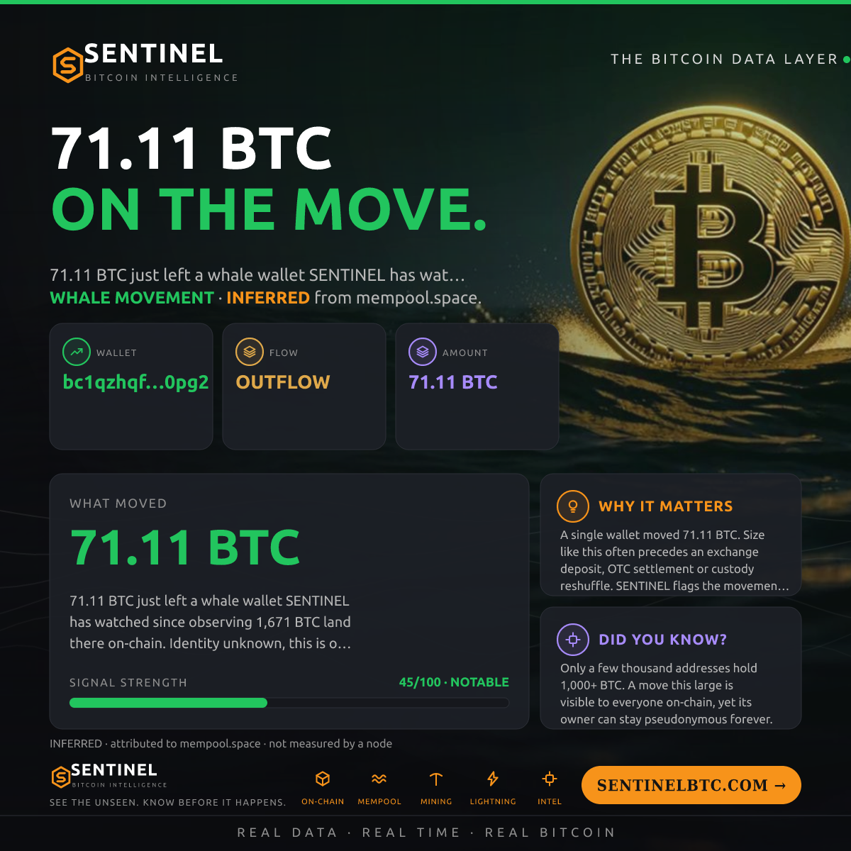 WHALE WALLET: 71.11 BTC OUT