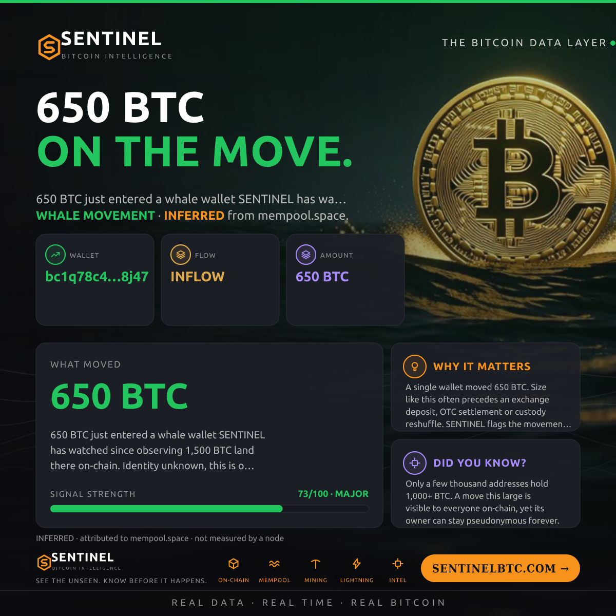 WHALE WALLET: 650 BTC IN