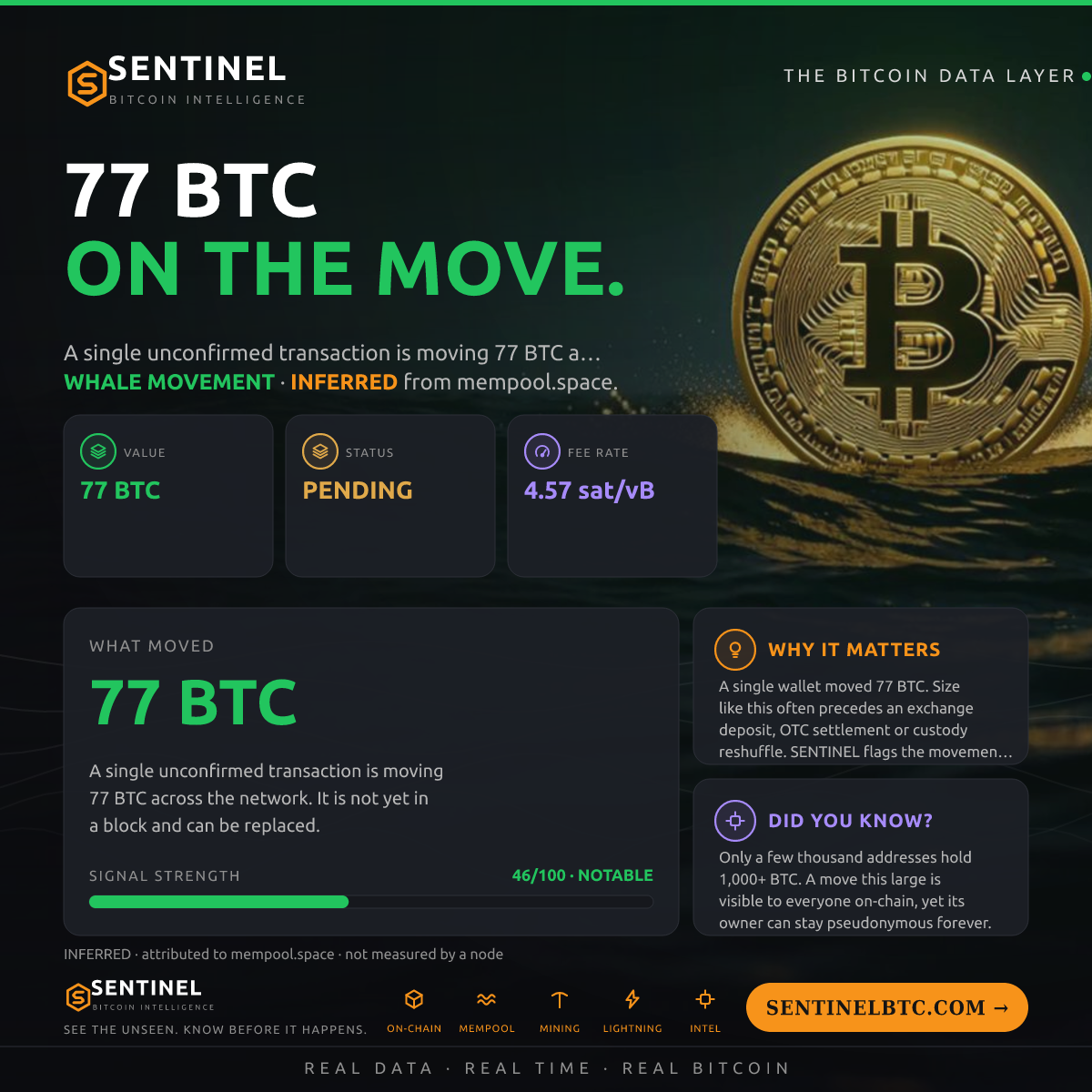 77 BTC ENTERED THE MEMPOOL