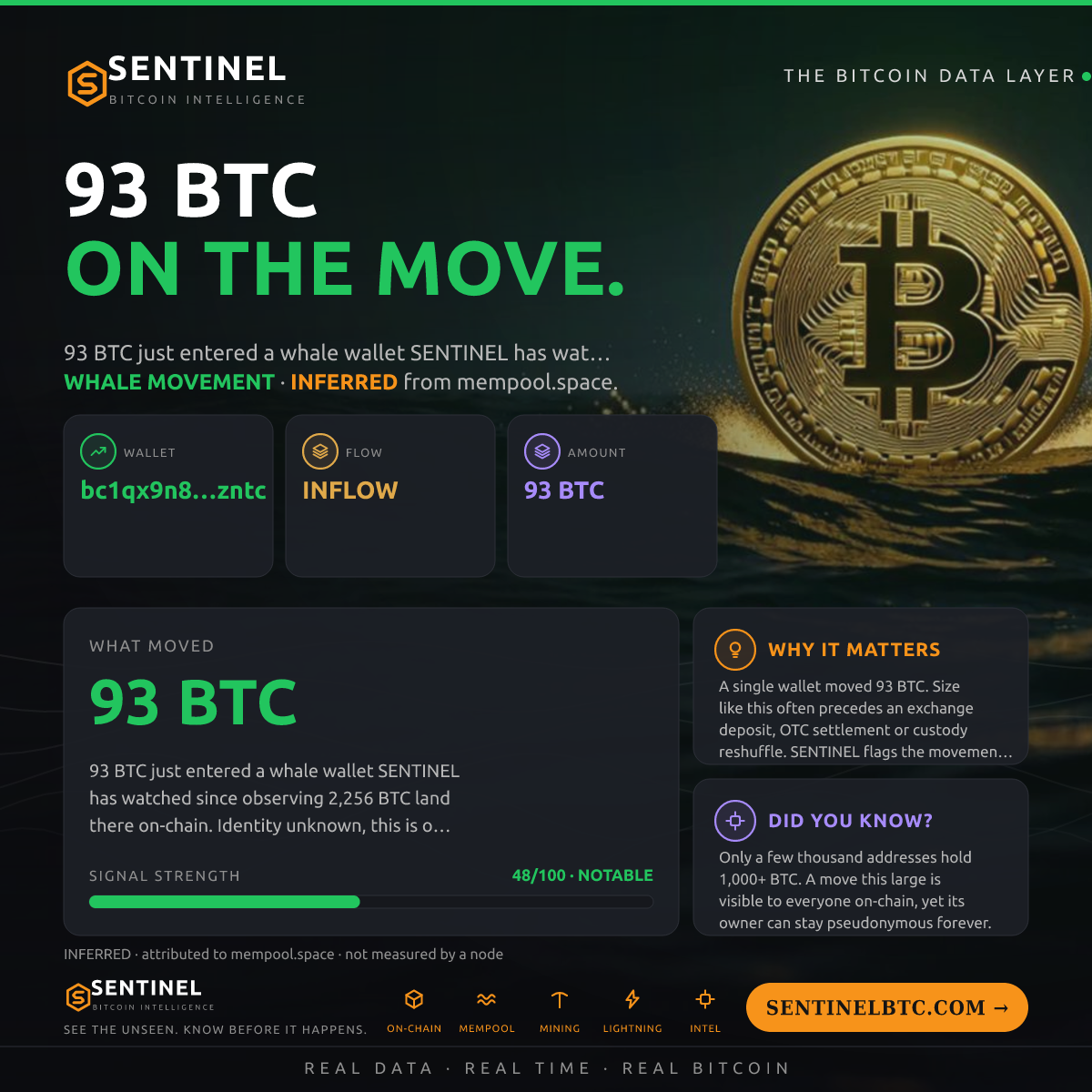 WHALE WALLET: 93 BTC IN