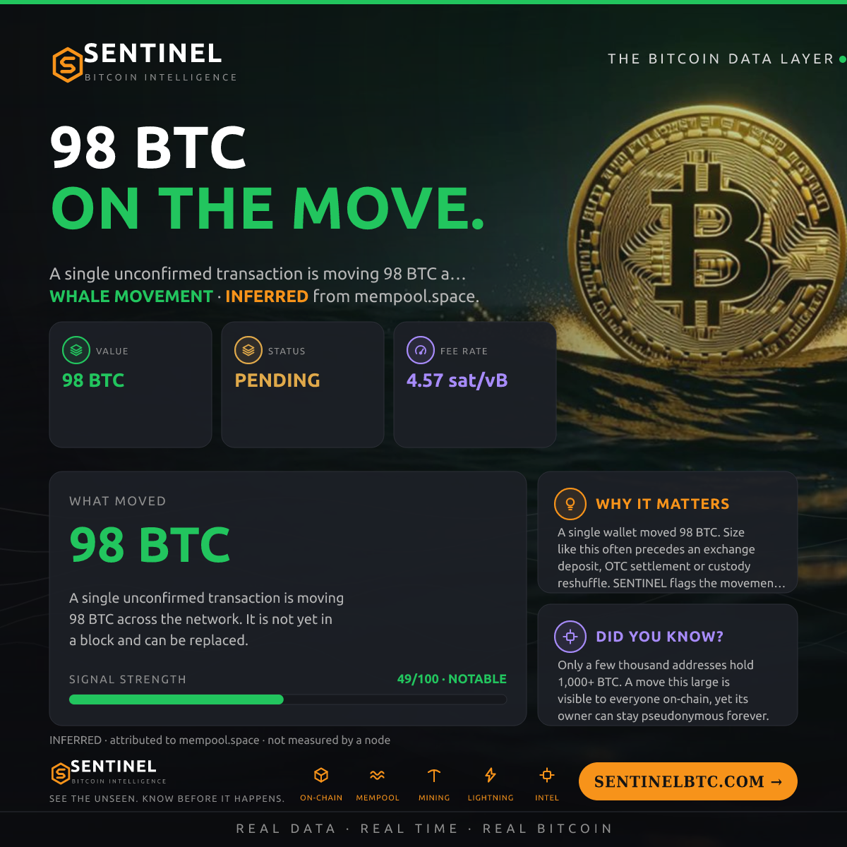 98 BTC ENTERED THE MEMPOOL