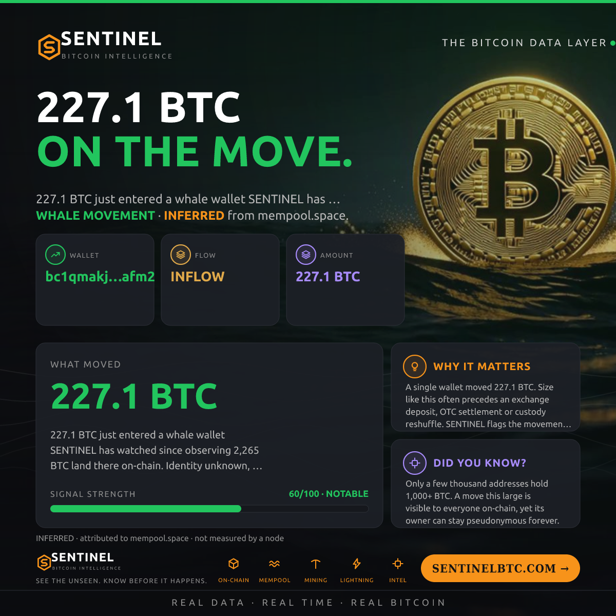 WHALE WALLET: 227.1 BTC IN