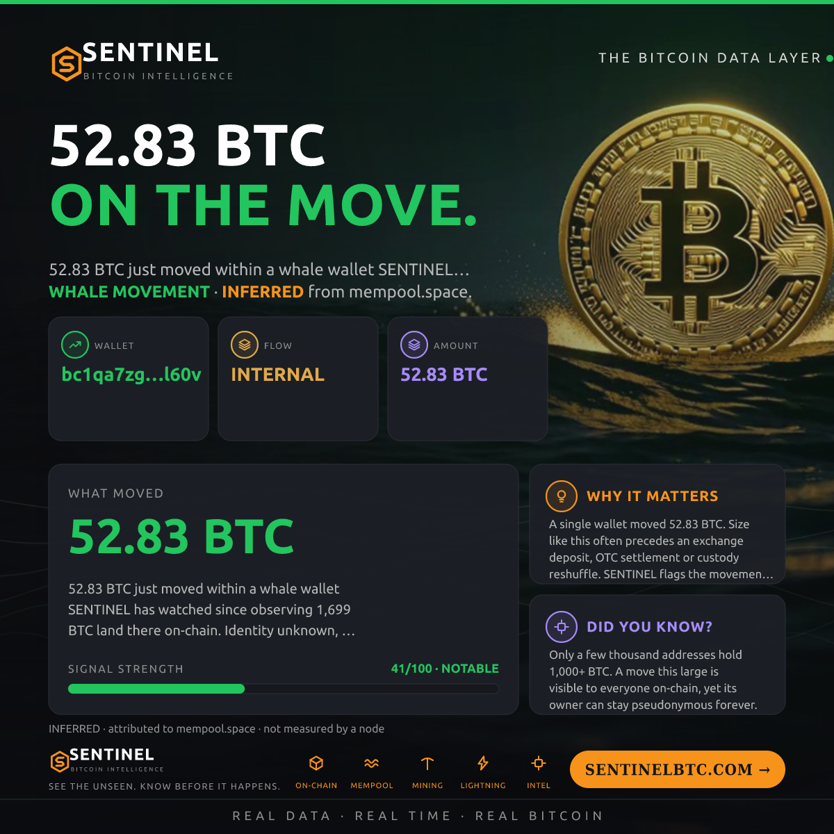 WHALE WALLET: 52.83 BTC SHUFFLED