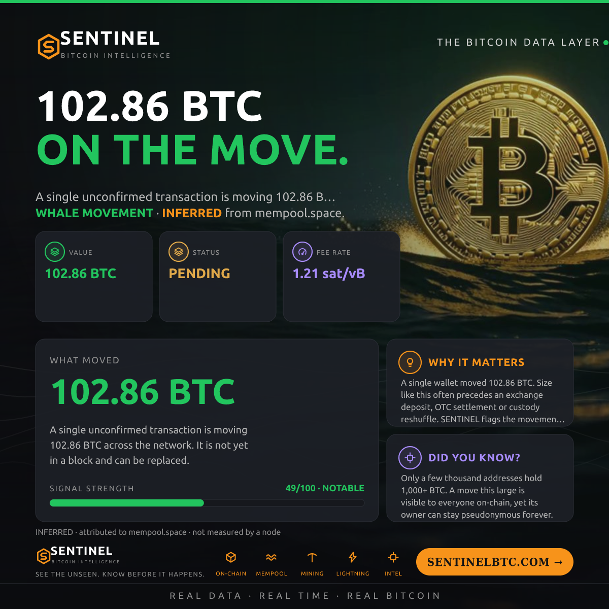 102.86 BTC ENTERED THE MEMPOOL