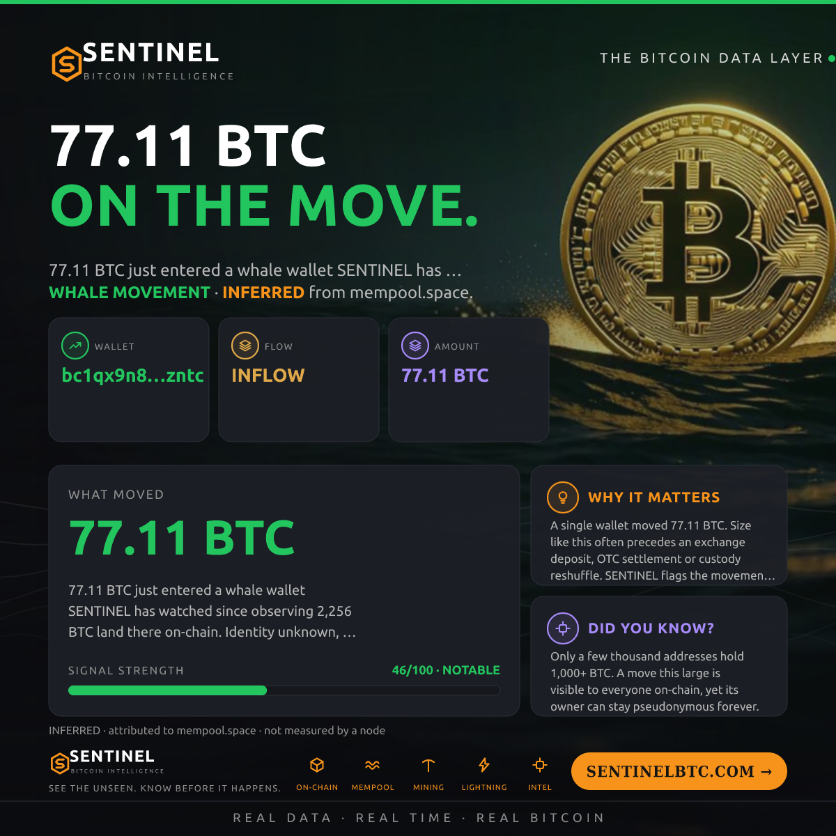 WHALE WALLET: 77.11 BTC IN