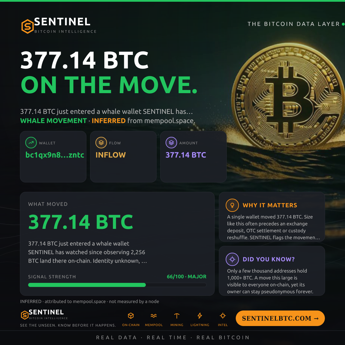 WHALE WALLET: 377.14 BTC IN