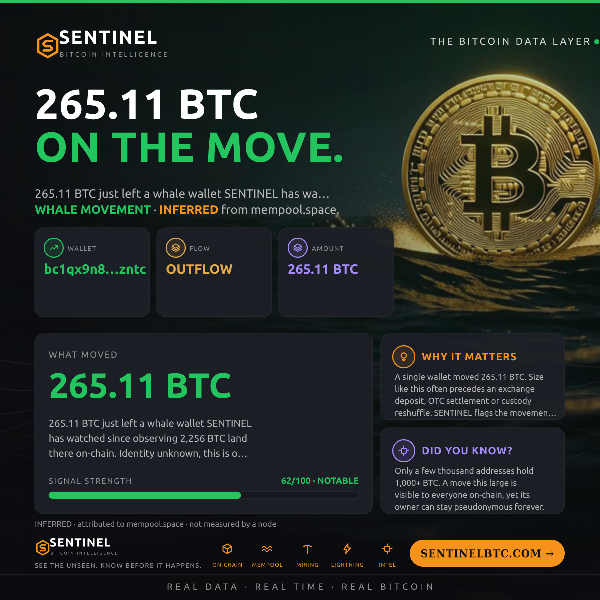 WHALE WALLET: 265.11 BTC OUT