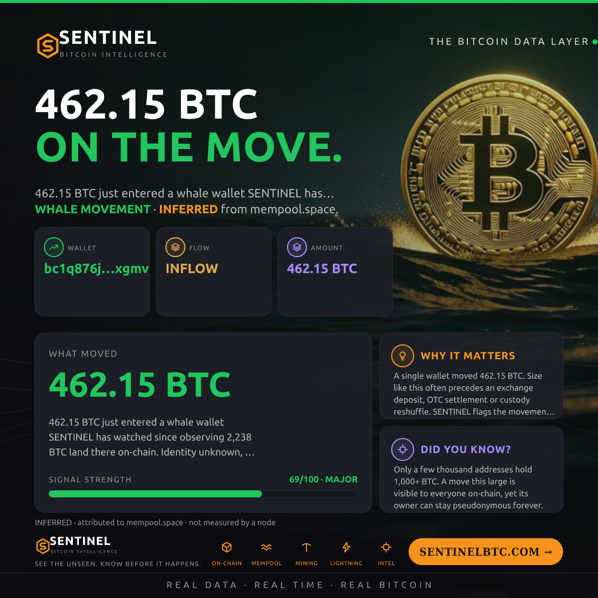 WHALE WALLET: 462.15 BTC IN