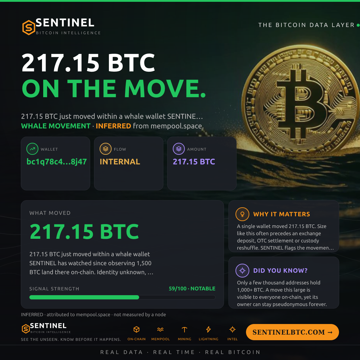 WHALE WALLET: 217.15 BTC SHUFFLED