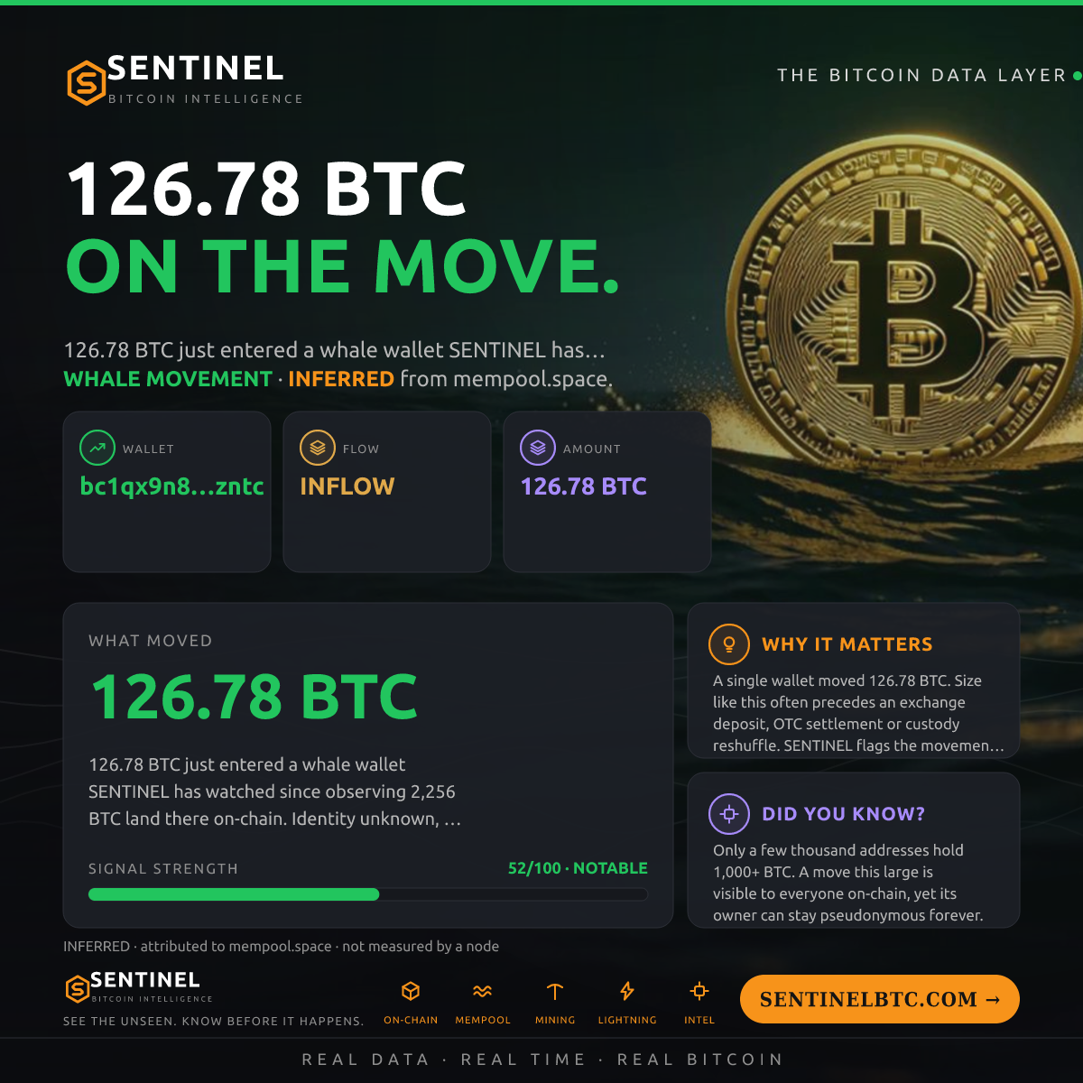 WHALE WALLET: 126.78 BTC IN