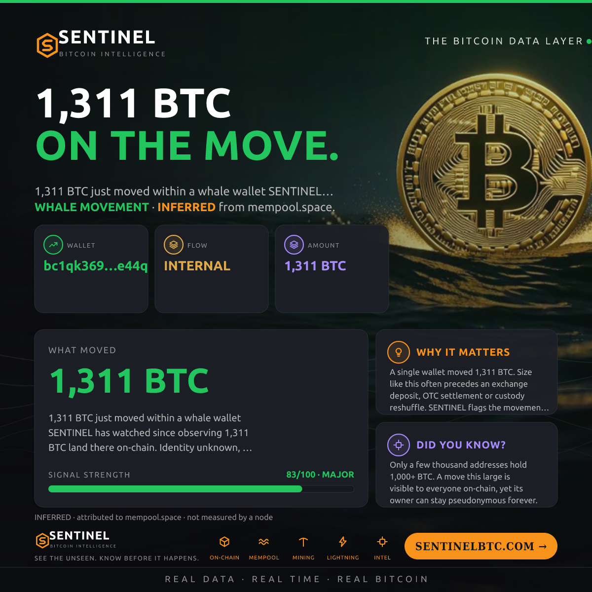 WHALE WALLET: 1,311 BTC SHUFFLED