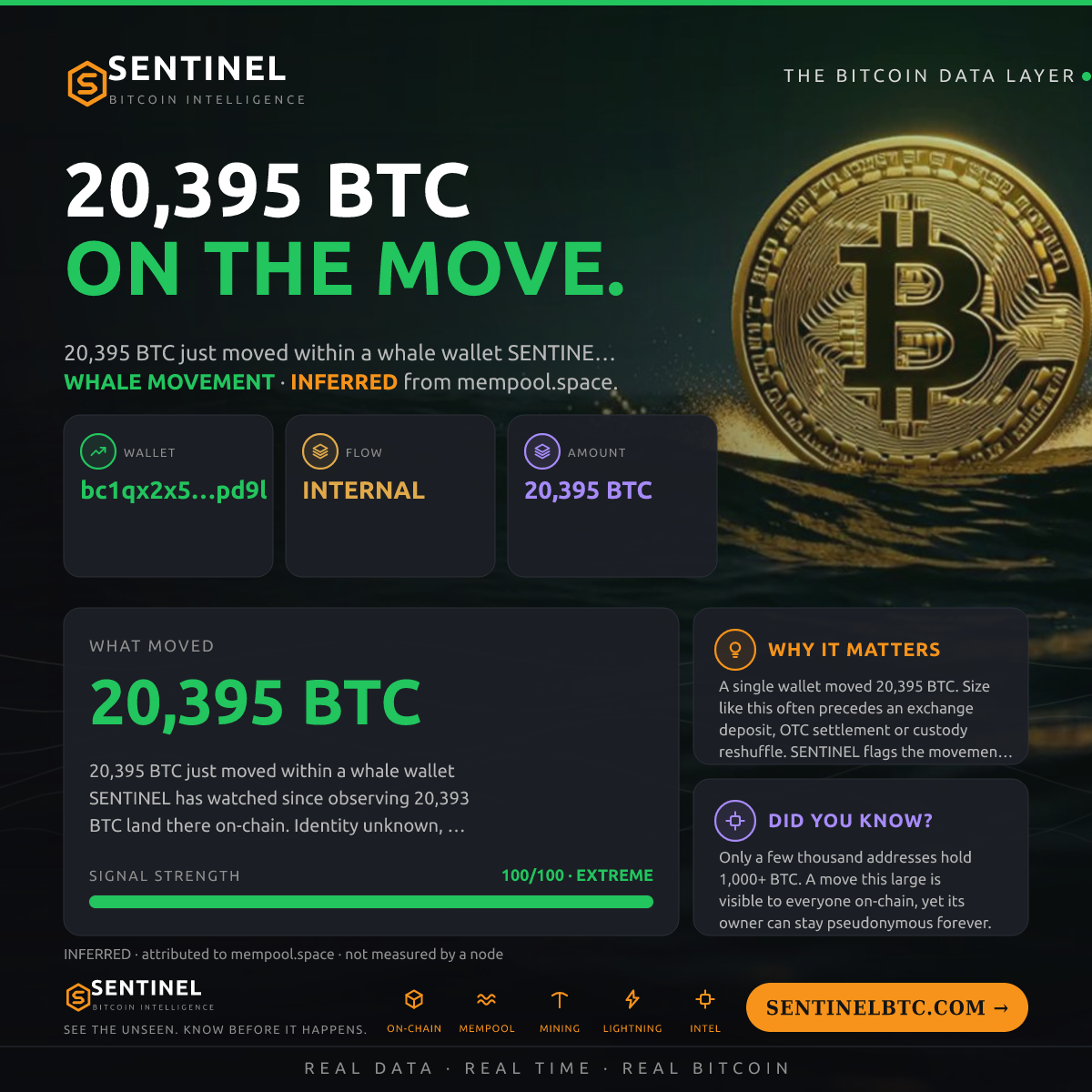 WHALE WALLET: 20,395 BTC SHUFFLED