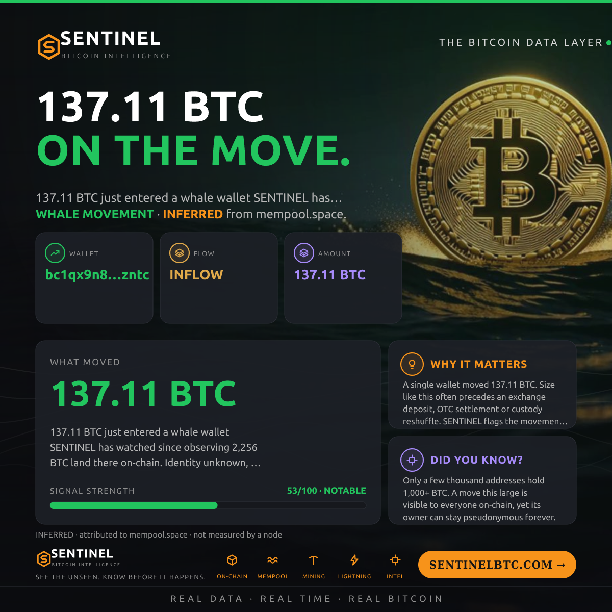 WHALE WALLET: 137.11 BTC IN