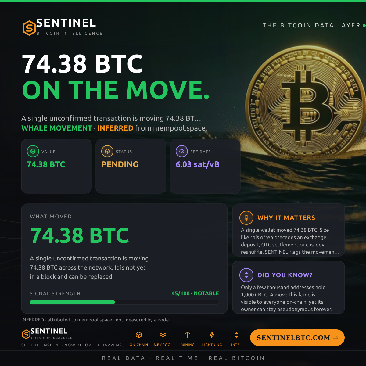 74.38 BTC ENTERED THE MEMPOOL