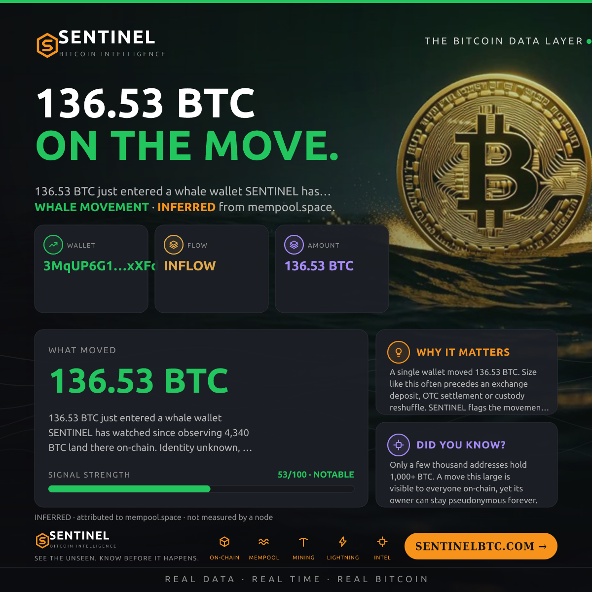 WHALE WALLET: 136.53 BTC IN
