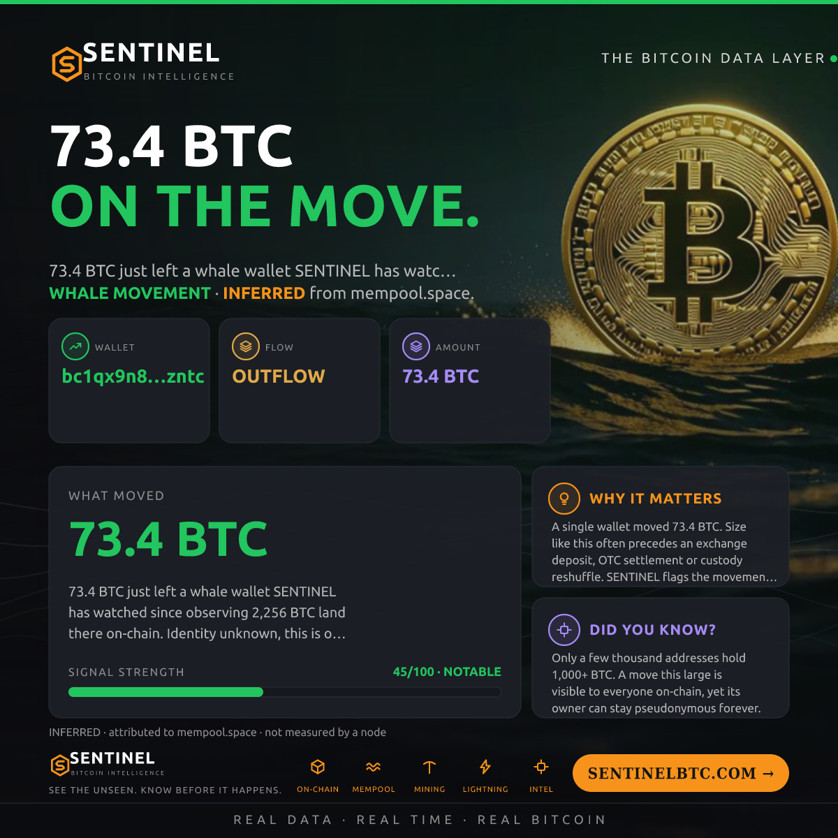 WHALE WALLET: 73.4 BTC OUT