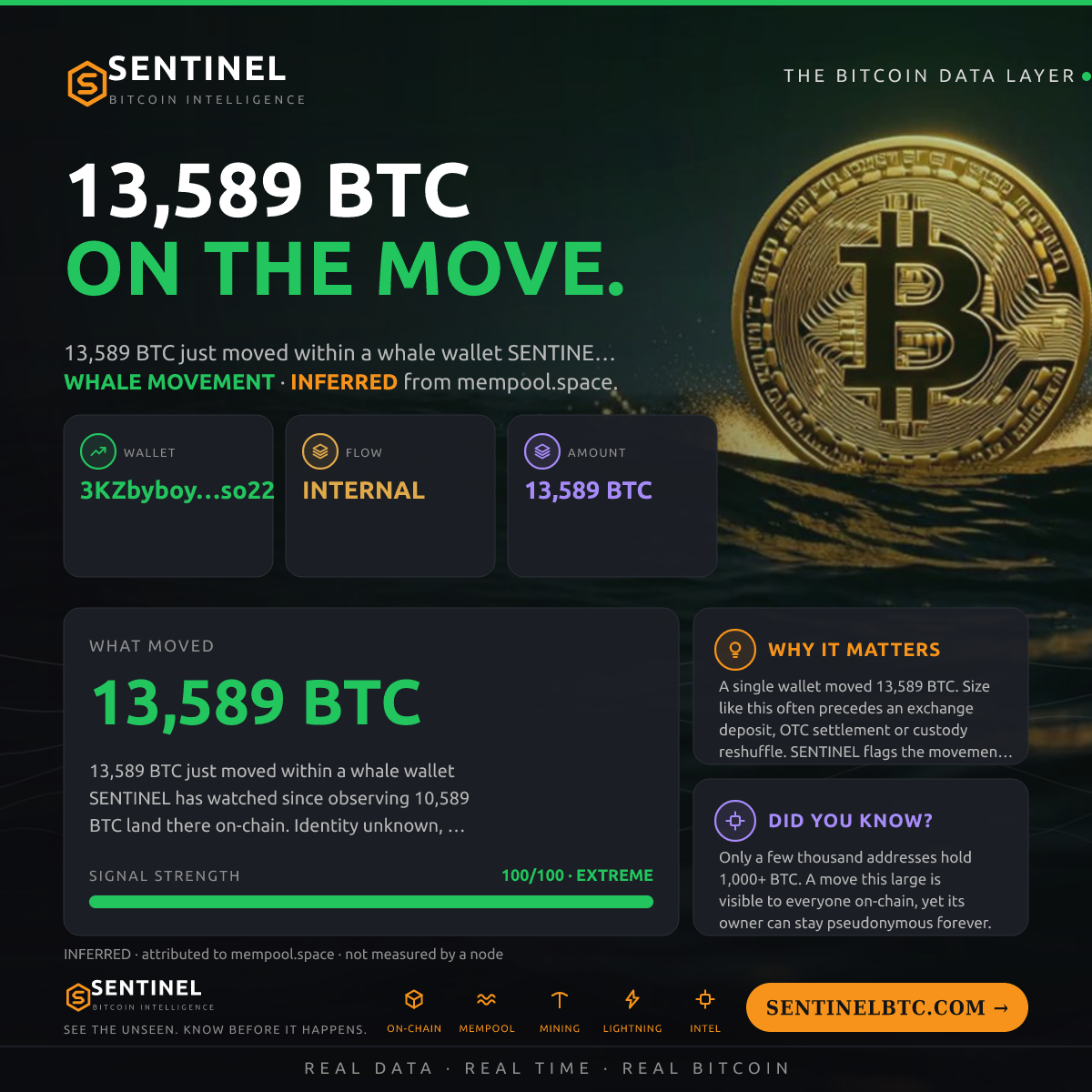 WHALE WALLET: 13,589 BTC SHUFFLED