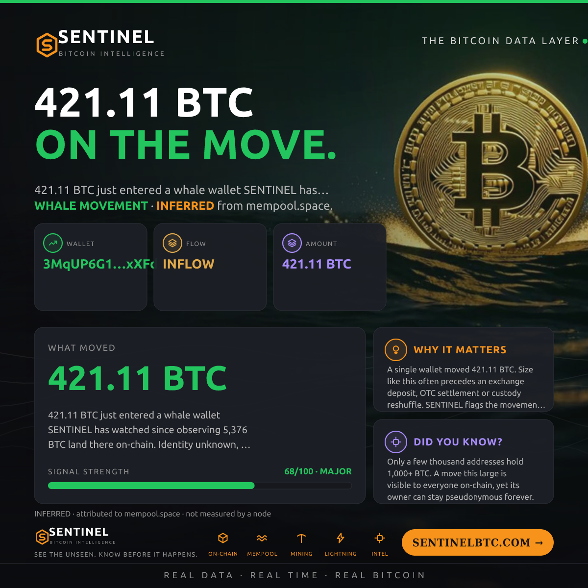 WHALE WALLET: 421.11 BTC IN