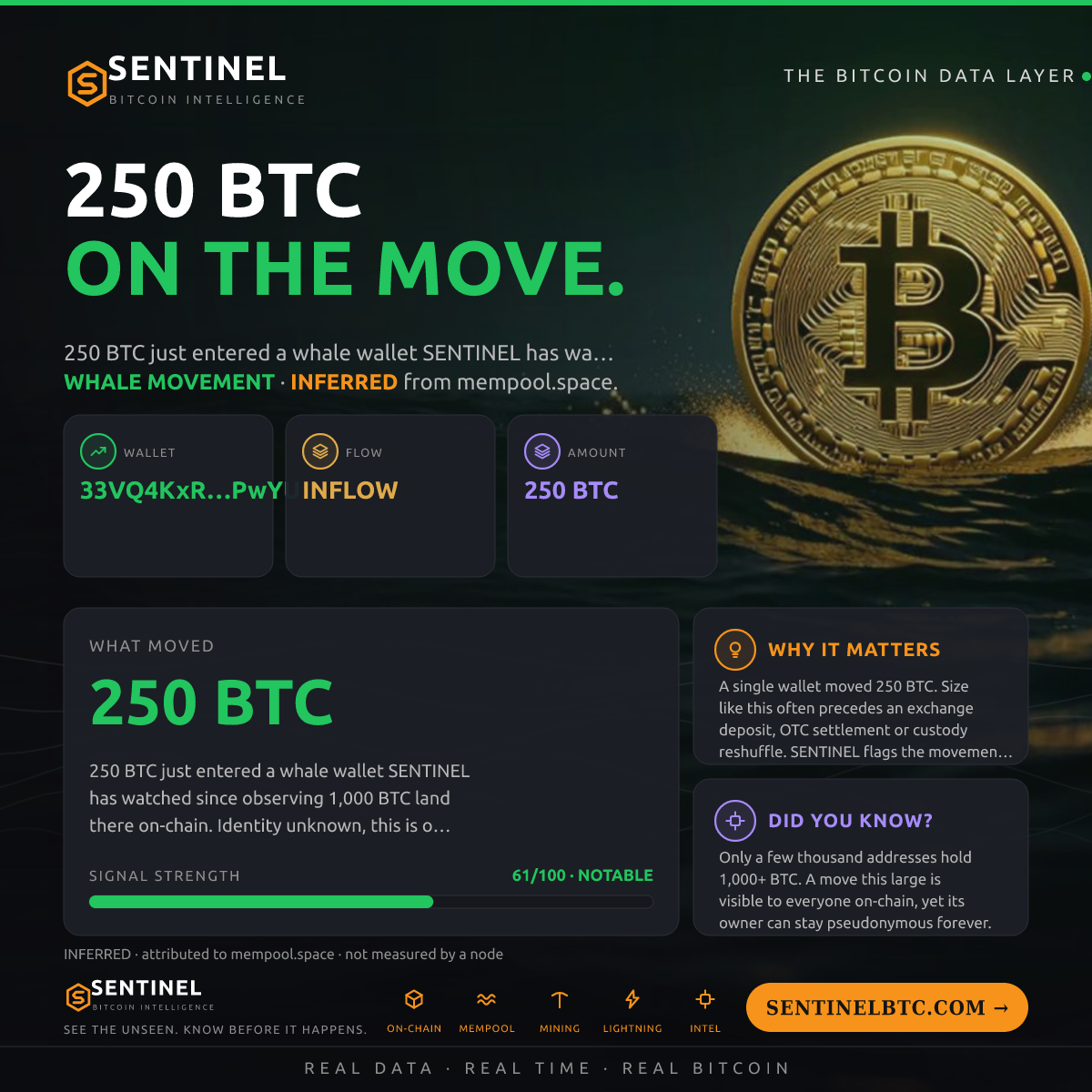 WHALE WALLET: 250 BTC IN