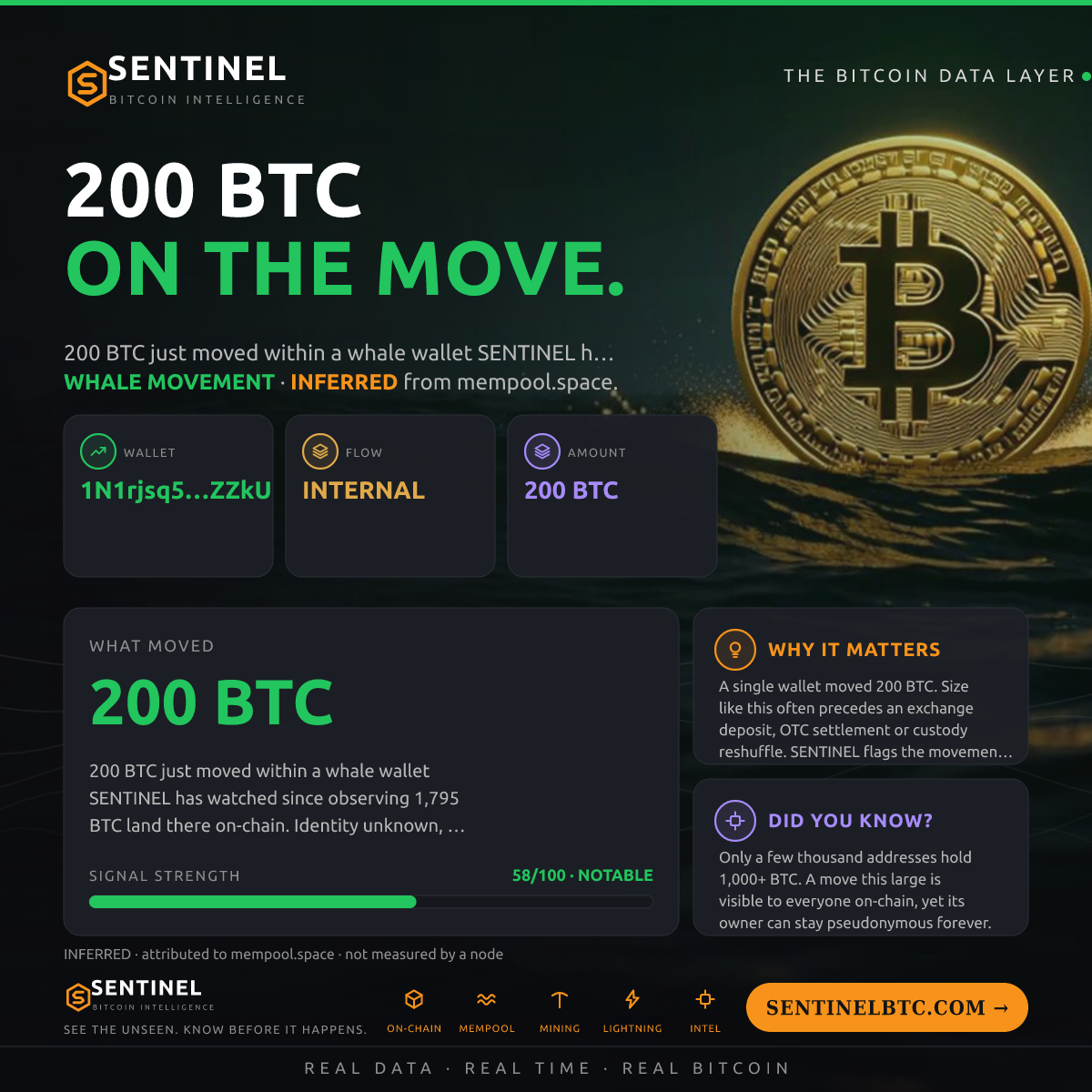 WHALE WALLET: 200 BTC SHUFFLED
