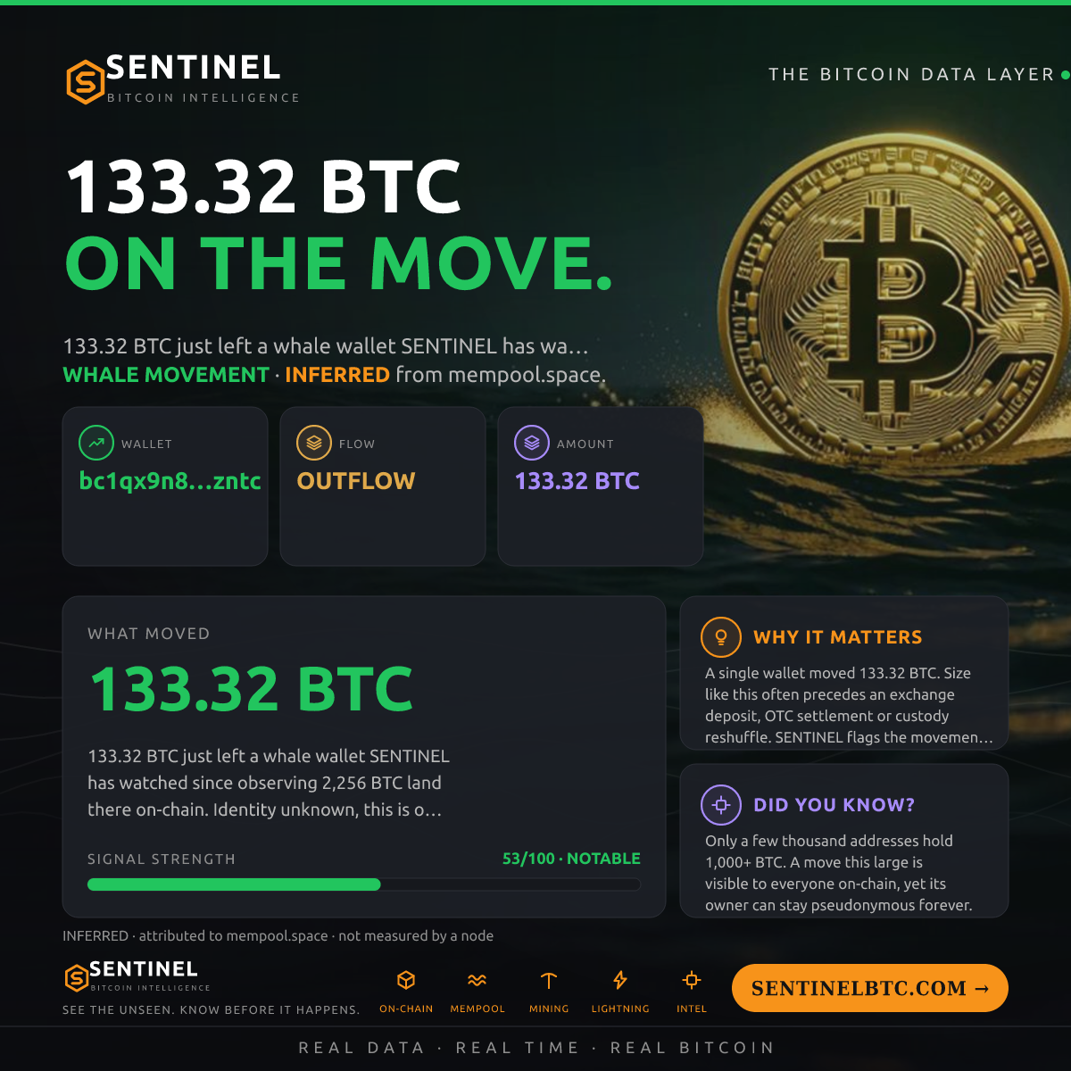 WHALE WALLET: 133.32 BTC OUT